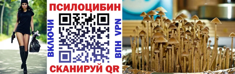 Купить  Бирюсинск  Галлюциногенные грибы Psilocybine cubensis 